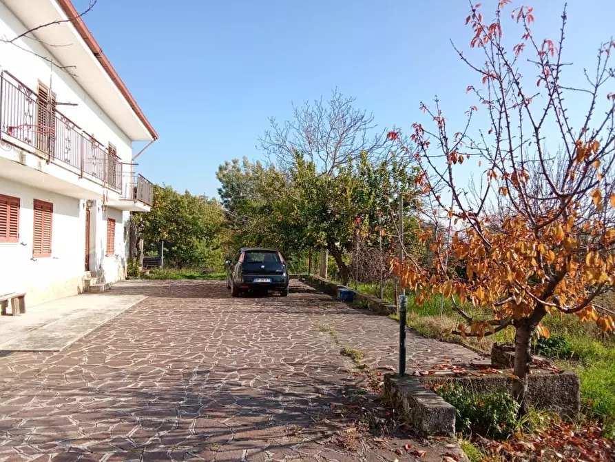 Immagine 19 di Casa indipendente in vendita  a Sant'angelo D'alife