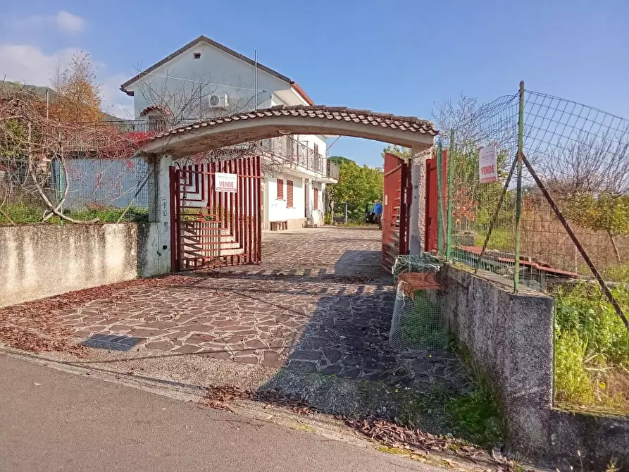 Immagine 3 di Casa indipendente in vendita  a Sant'angelo D'alife