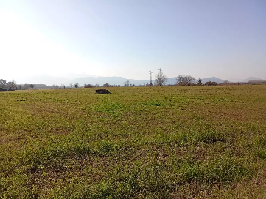 Immagine 3 di Terreno agricolo in vendita  a Alife