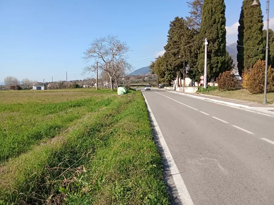 Immagine 1 di Terreno agricolo in vendita  a Alife