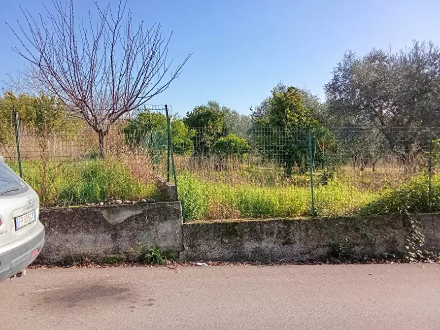 Immagine 5 di Terreno agricolo in vendita  a Alife