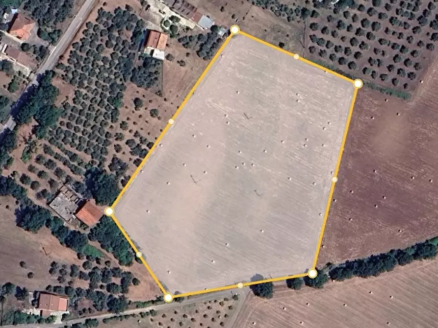 Immagine 1 di Terreno agricolo in vendita  in VIA QUATTROVENTI a Raviscanina