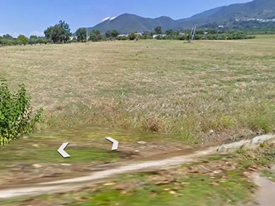 Immagine 3 di Terreno agricolo in vendita  in VIA QUATTROVENTI a Raviscanina