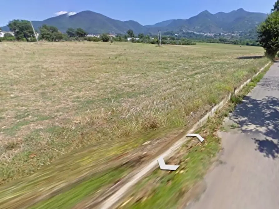 Immagine 4 di Terreno agricolo in vendita  in VIA QUATTROVENTI a Raviscanina