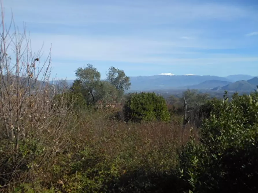 Immagine 27 di Casa indipendente in vendita  a Marzano Appio