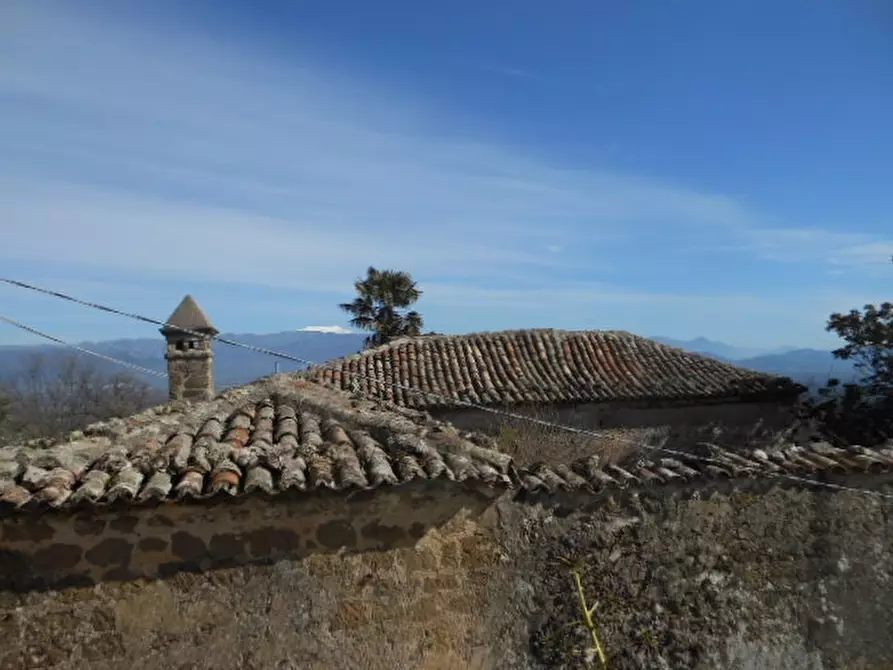 Immagine 3 di Casa indipendente in vendita  a Marzano Appio