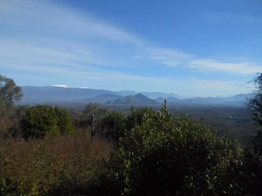 Immagine 28 di Casa indipendente in vendita  a Marzano Appio