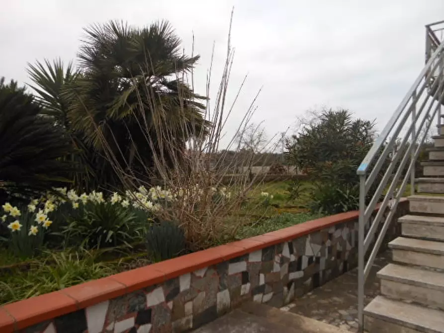 Immagine 6 di Casa indipendente in vendita  a Teano