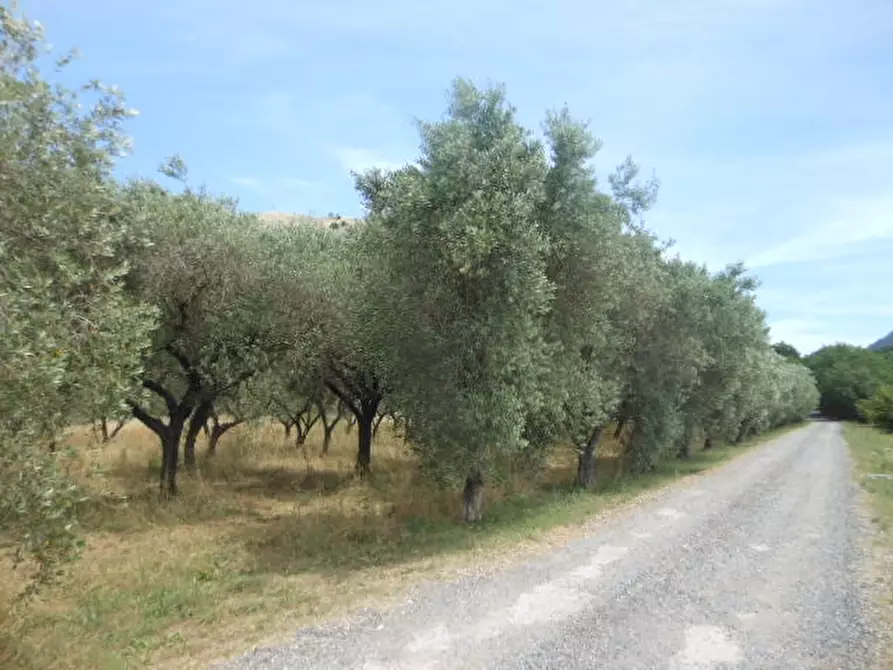 Immagine 2 di Terreno industriale in vendita  a Vairano Patenora