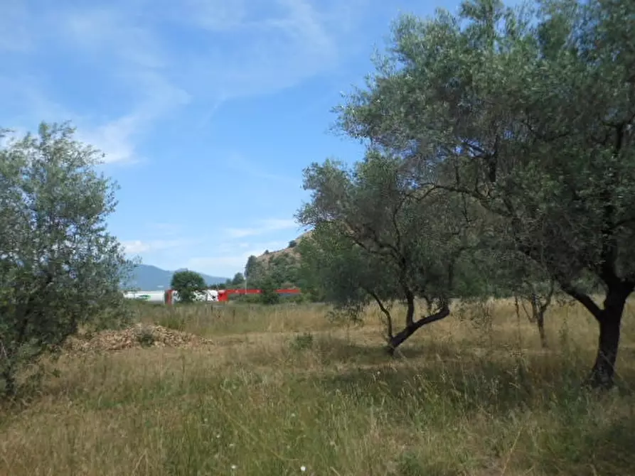 Immagine 3 di Terreno industriale in vendita  a Vairano Patenora