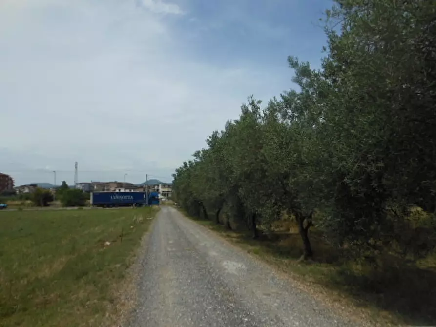 Immagine 4 di Terreno industriale in vendita  a Vairano Patenora