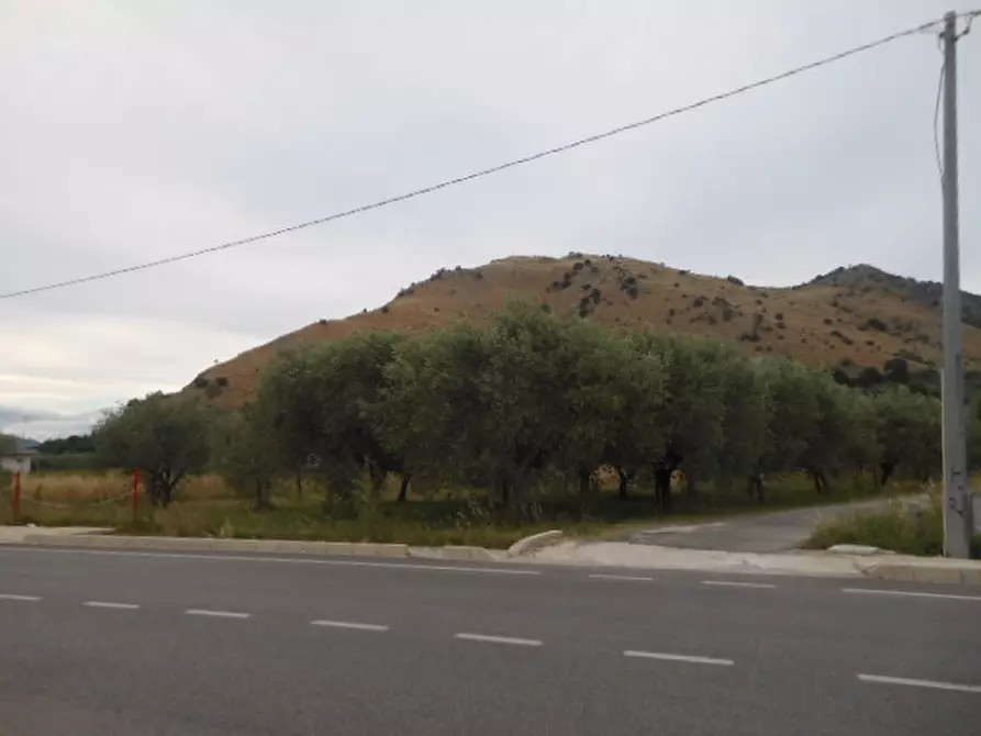 Immagine 5 di Terreno industriale in vendita  a Vairano Patenora