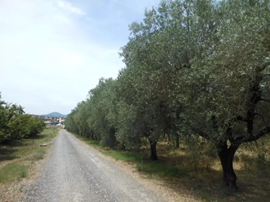 Immagine 6 di Terreno industriale in vendita  a Vairano Patenora