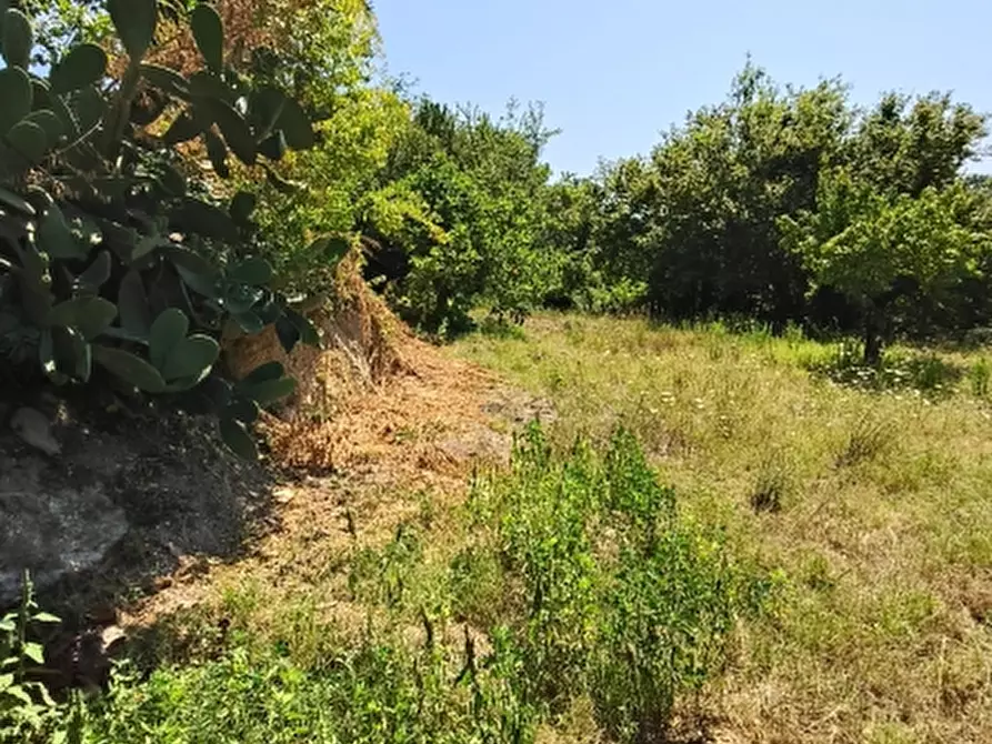Immagine 3 di Appartamento in vendita  a Teano