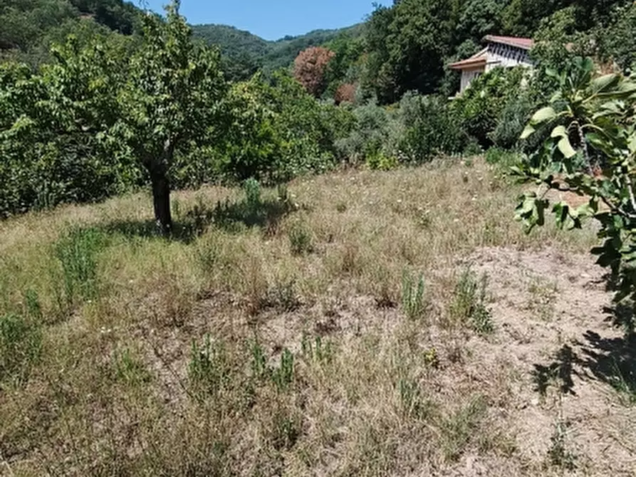 Immagine 10 di Appartamento in vendita  a Teano