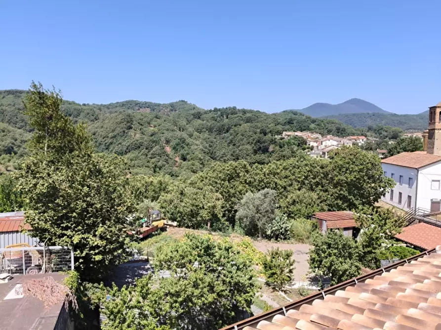 Immagine 7 di Porzione di casa in vendita  a Teano