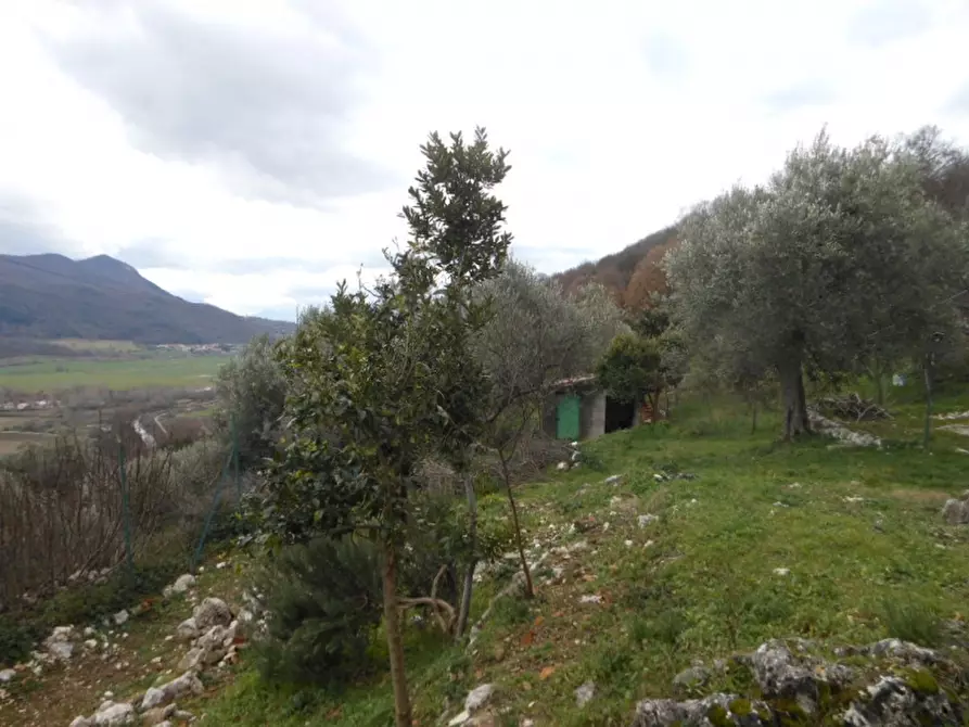 Immagine 16 di Casa indipendente in vendita  in VIA TAURUTA a Sesto Campano