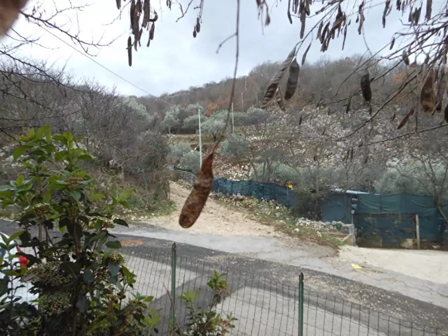Immagine 11 di Casa indipendente in vendita  in VIA TAURUTA a Sesto Campano