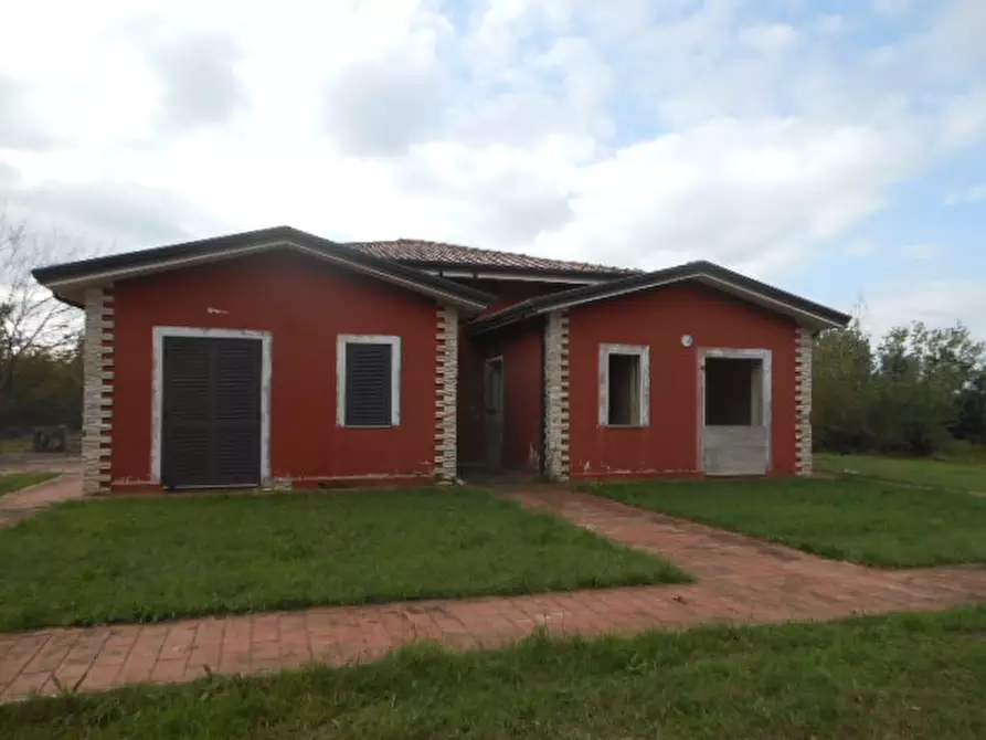 Immagine 2 di Terreno agricolo in vendita  in vairano patenora a Vairano Patenora