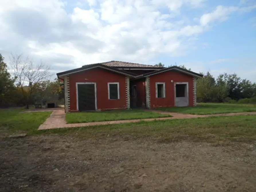 Immagine 11 di Terreno agricolo in vendita  in vairano patenora a Vairano Patenora