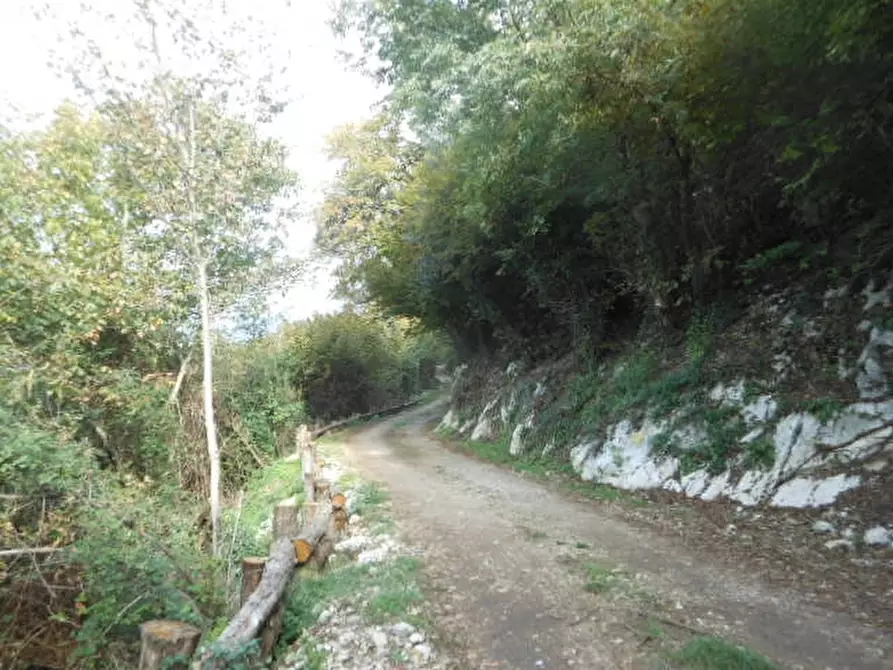 Immagine 3 di Terreno agricolo in vendita  in vairano patenora a Vairano Patenora