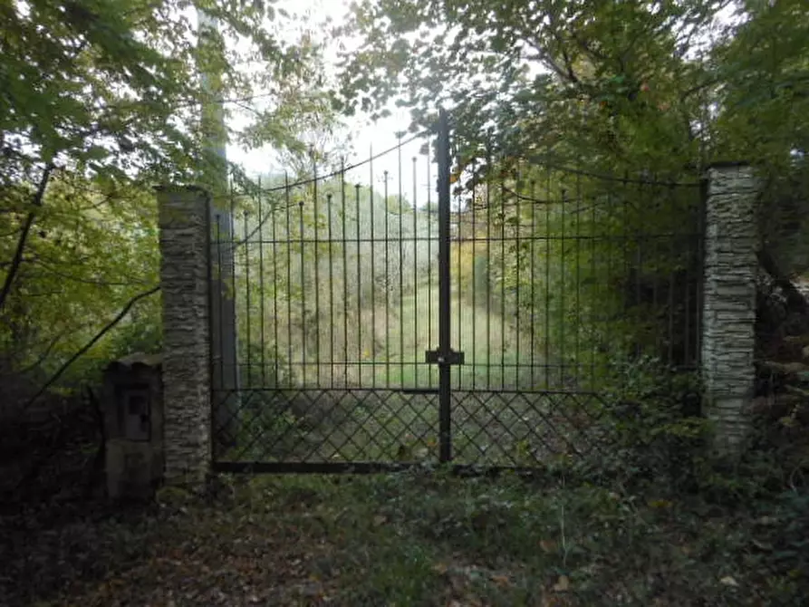 Immagine 4 di Terreno agricolo in vendita  in vairano patenora a Vairano Patenora