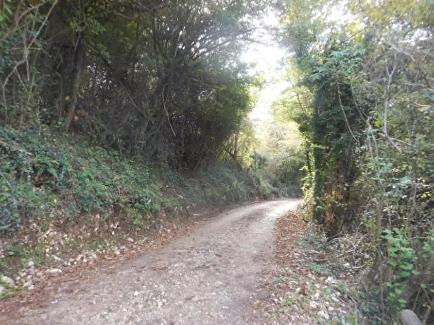 Immagine 5 di Terreno agricolo in vendita  in vairano patenora a Vairano Patenora