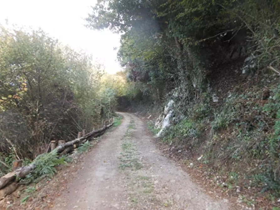Immagine 6 di Terreno agricolo in vendita  in vairano patenora a Vairano Patenora