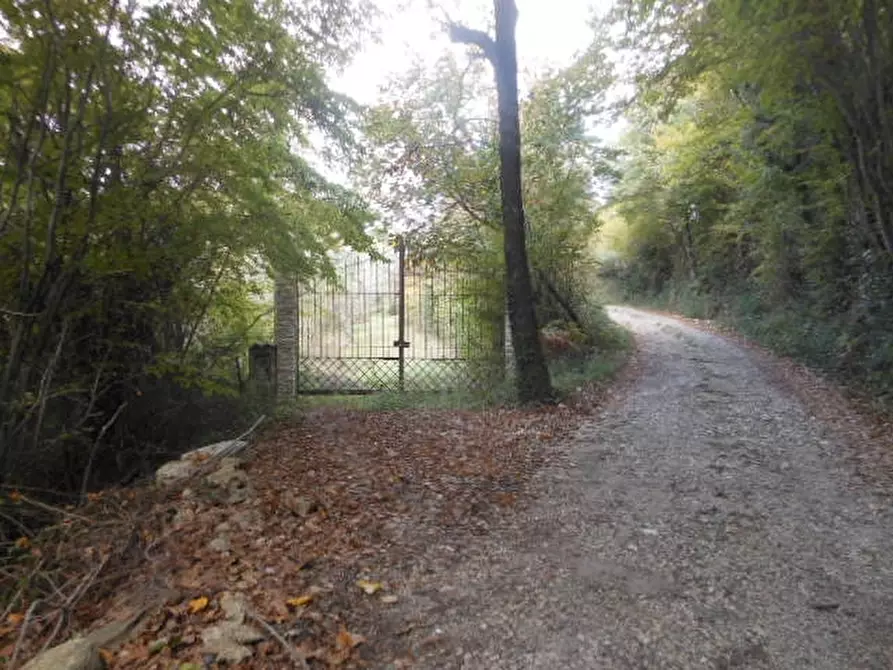 Immagine 7 di Terreno agricolo in vendita  in vairano patenora a Vairano Patenora