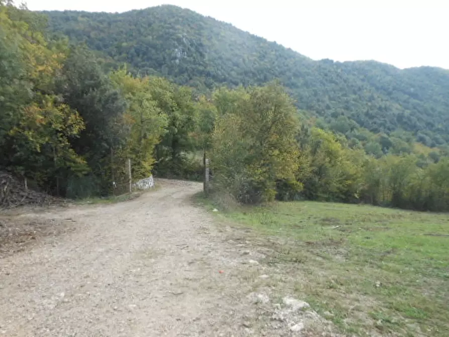 Immagine 9 di Terreno agricolo in vendita  in vairano patenora a Vairano Patenora