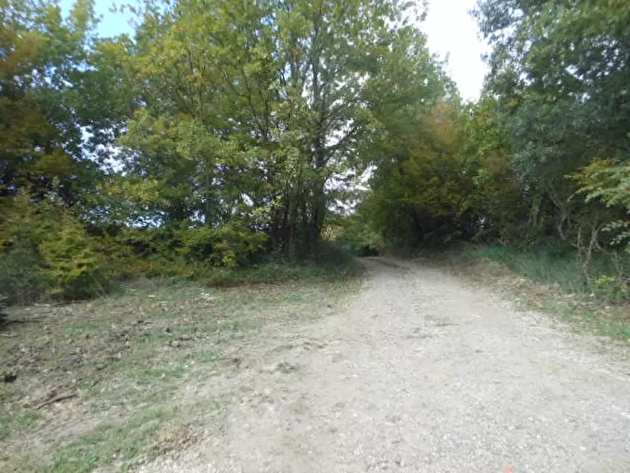 Immagine 10 di Terreno agricolo in vendita  in vairano patenora a Vairano Patenora
