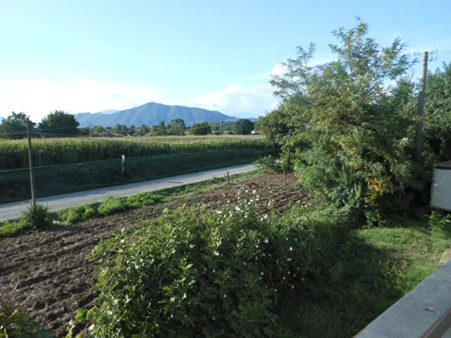 Immagine 15 di Terratetto in vendita  a Pietramelara