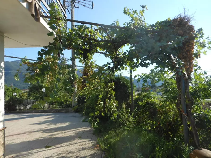 Immagine 6 di Terratetto in vendita  a Pietramelara