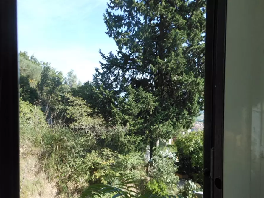 Immagine 4 di Villa in vendita  a Pietravairano