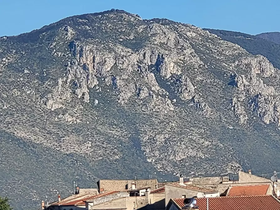 Immagine 14 di Terratetto in vendita  a Tora E Piccilli