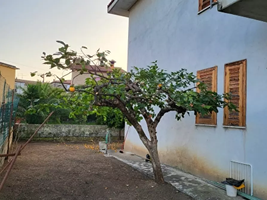 Immagine 4 di Terratetto in vendita  a Tora E Piccilli