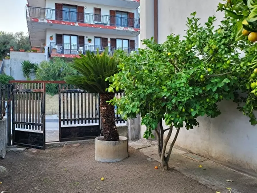 Immagine 5 di Terratetto in vendita  a Tora E Piccilli