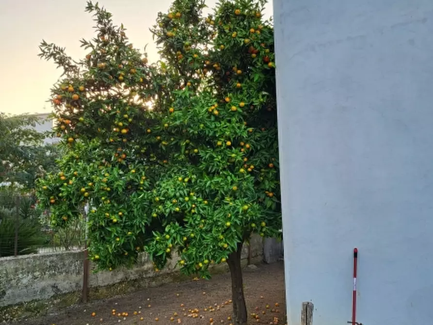 Immagine 8 di Terratetto in vendita  a Tora E Piccilli