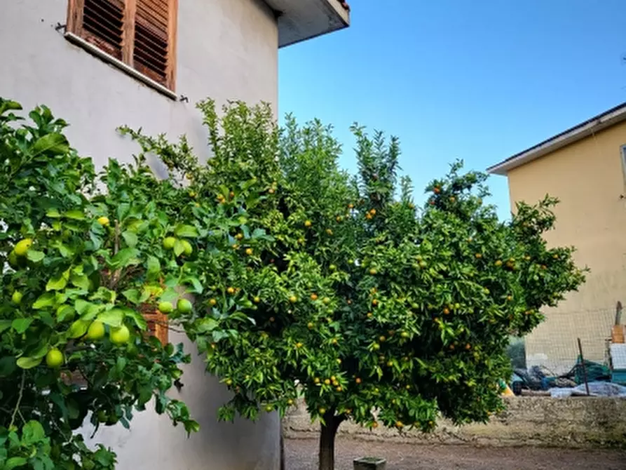 Immagine 10 di Terratetto in vendita  a Tora E Piccilli