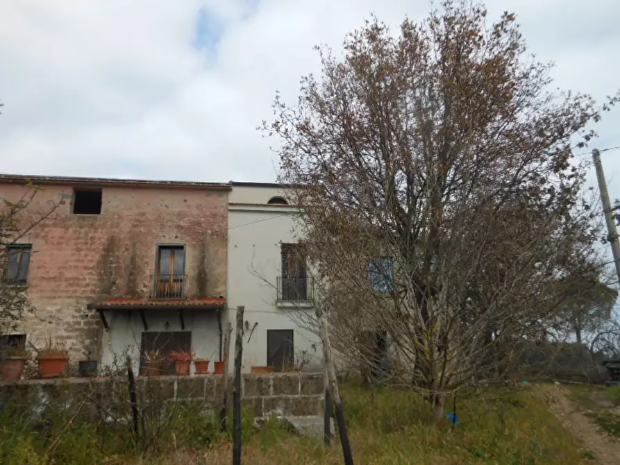 Immagine 2 di Porzione di casa in vendita  a Teano
