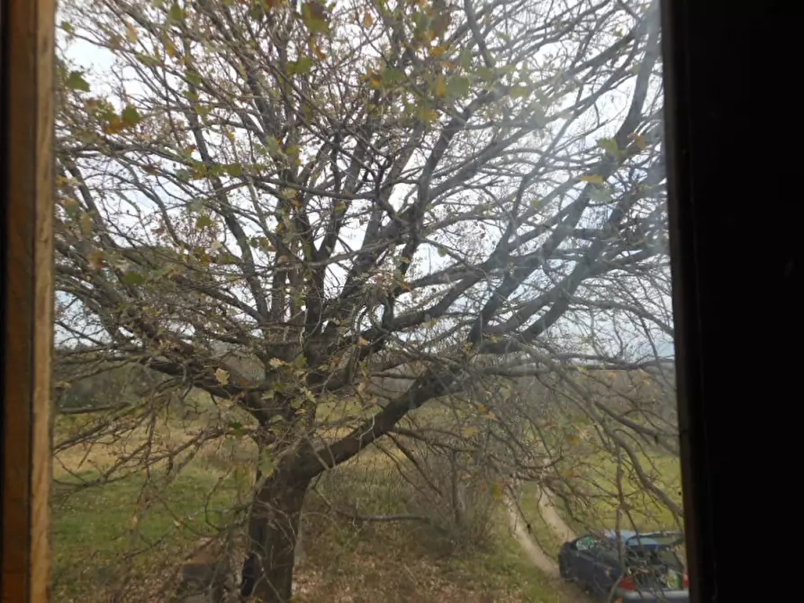 Immagine 13 di Porzione di casa in vendita  a Teano