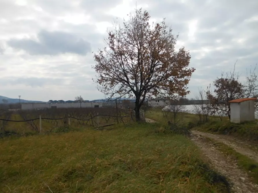 Immagine 4 di Porzione di casa in vendita  a Teano