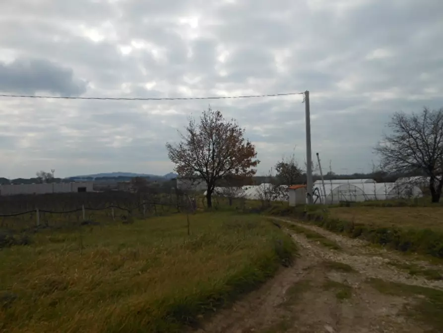 Immagine 5 di Porzione di casa in vendita  a Teano