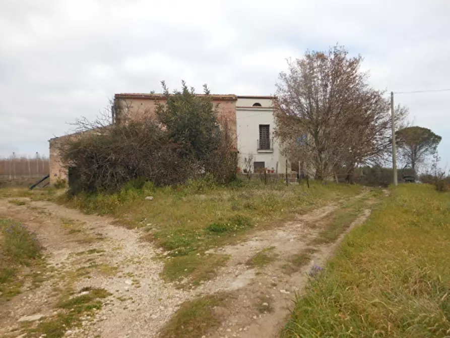 Immagine 6 di Porzione di casa in vendita  a Teano