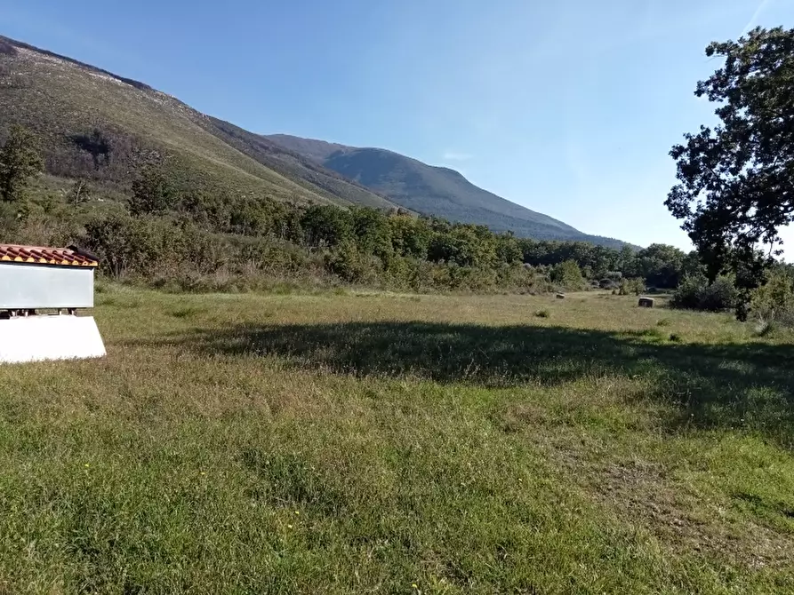 Immagine 1 di Terreno agricolo in vendita  in VIA FECICCE a Mignano Monte Lungo