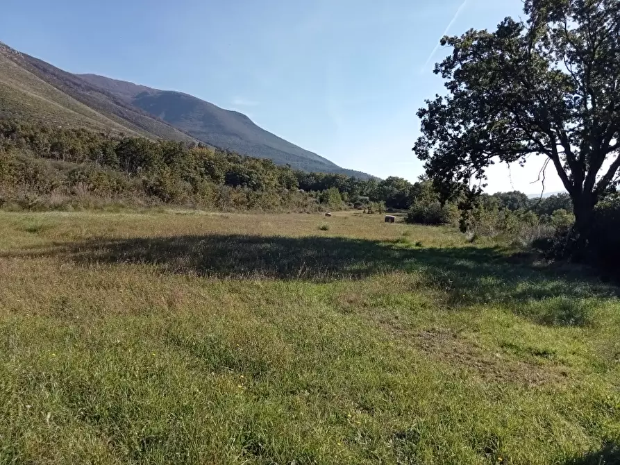 Immagine 2 di Terreno agricolo in vendita  in VIA FECICCE a Mignano Monte Lungo
