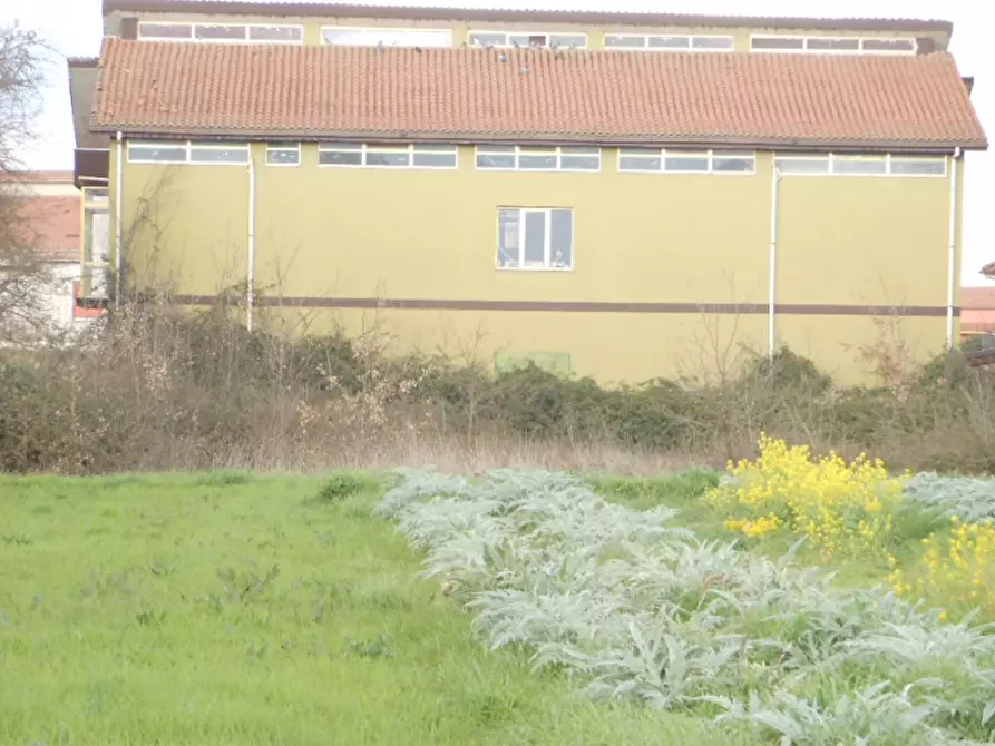 Immagine 3 di Locale commerciale in affitto  a Vairano Patenora