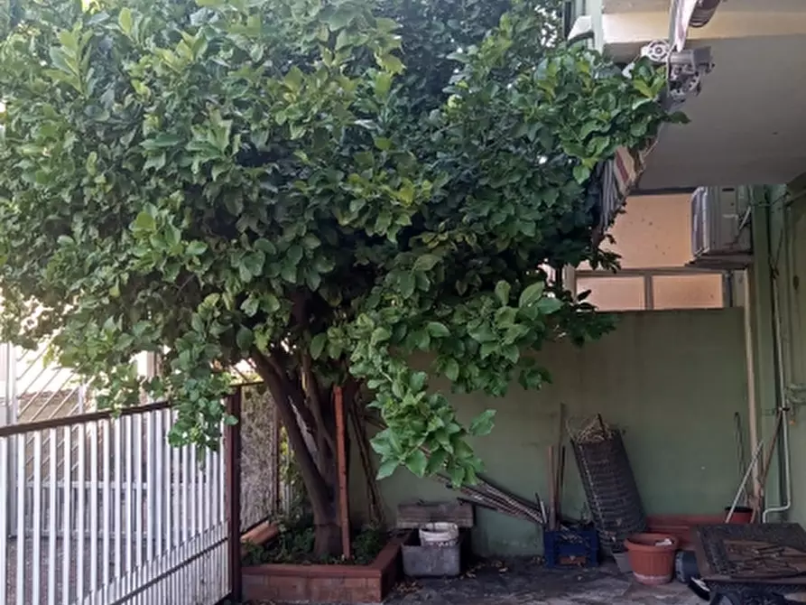 Immagine 6 di Porzione di casa in vendita  a Riardo