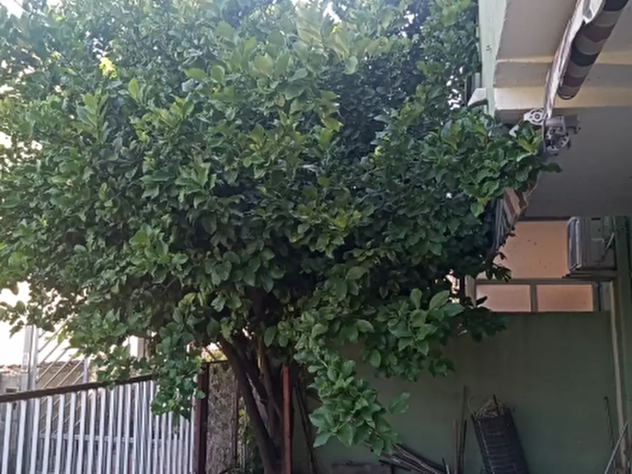 Immagine 8 di Porzione di casa in vendita  a Riardo