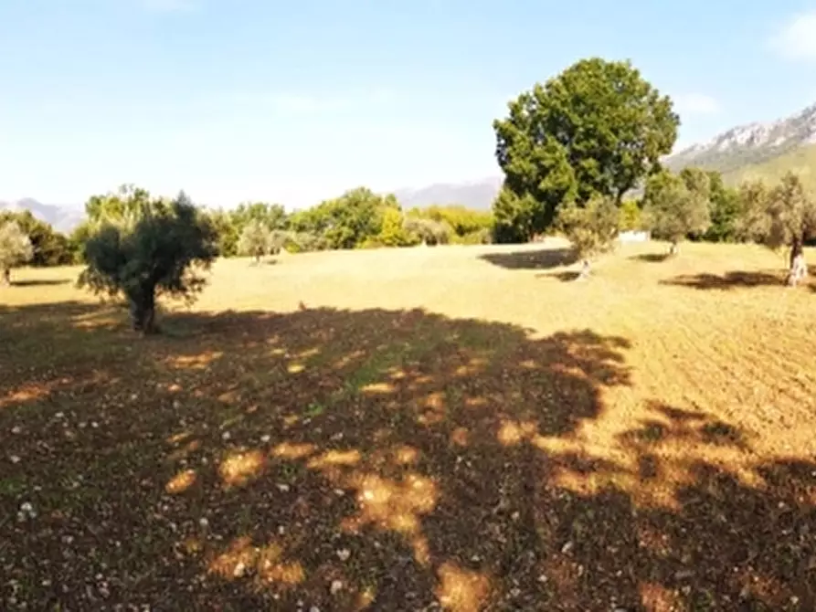 Immagine 1 di Terreno agricolo in vendita  in PRATA SANNITA a Prata Sannita